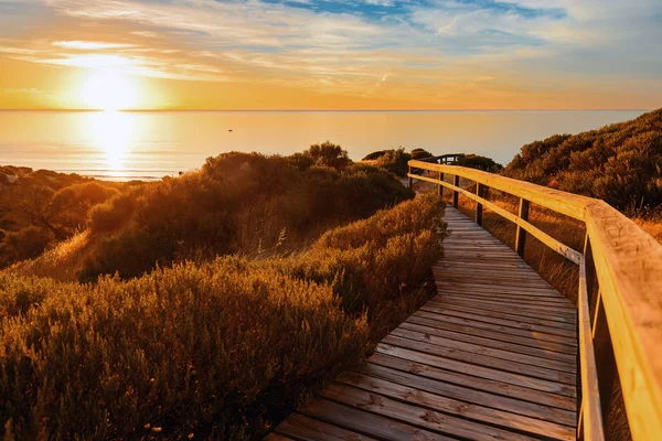 Krásná krajina jižní Austrálie — Stock fotografie