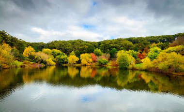 renkli sonbahar manzarası