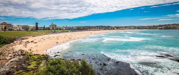 Bondi Beach panorama