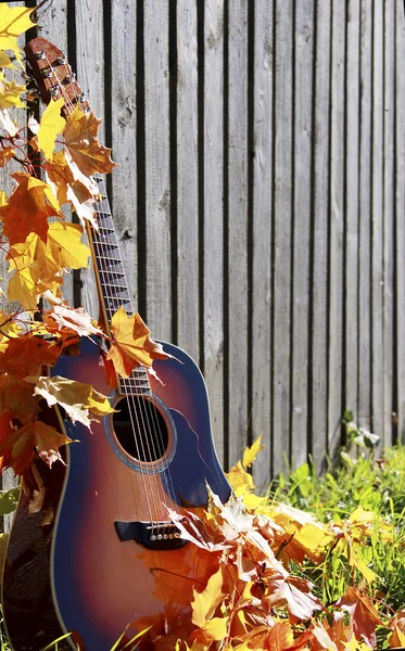 Guitare près de la clôture Images De Stock Libres De Droits