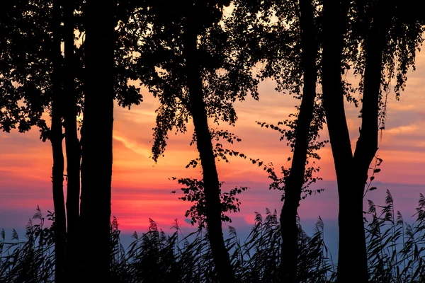 Silhueta do pôr do sol — Fotografia de Stock