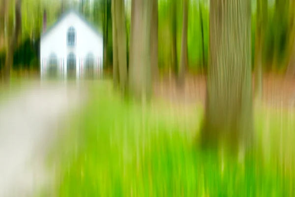 Abstract House In The Forest — Stock Photo, Image