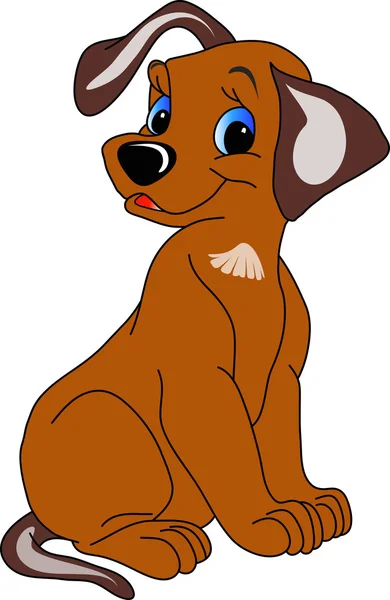 memnun köpek yavrusu