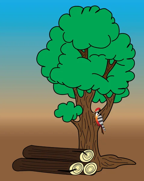 Pájaro carpintero en un árbol. — Vector de stock