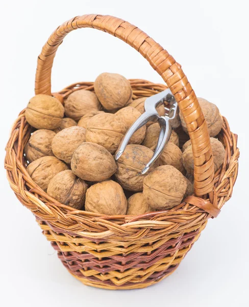 Walnuts — Stock Photo, Image