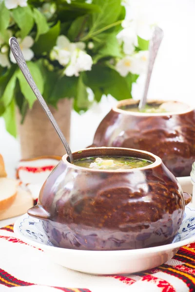 Sopa de acedera verde ucraniano — Foto de Stock