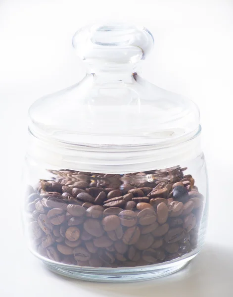 Coffee seeds — Stock Photo, Image