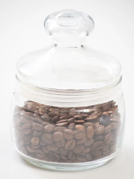 Coffee seeds — Stock Photo, Image