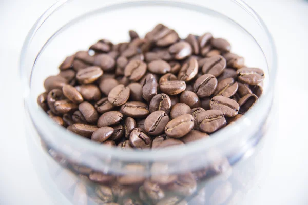 Coffee seeds — Stock Photo, Image