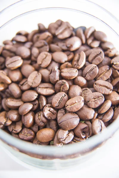 Coffee seeds — Stock Photo, Image