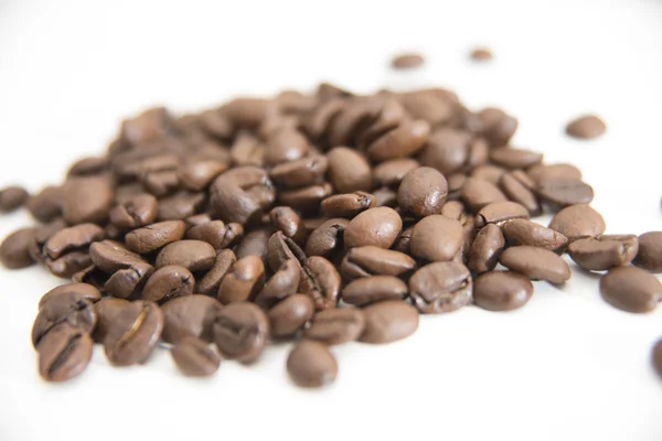 Coffee seeds — Stock Photo, Image