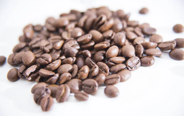 Coffee seeds — Stock Photo, Image