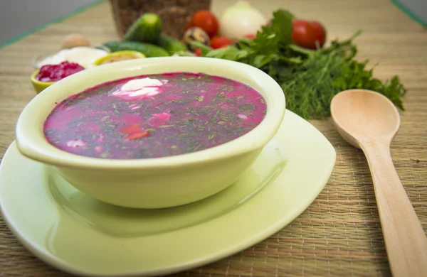 Sopa fría de leche agria —  Fotos de Stock