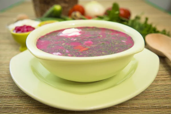 Zimna zupa kwaśno-mleczne — Zdjęcie stockowe
