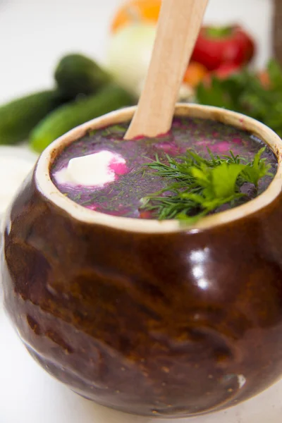 Sopa fría de leche agria —  Fotos de Stock