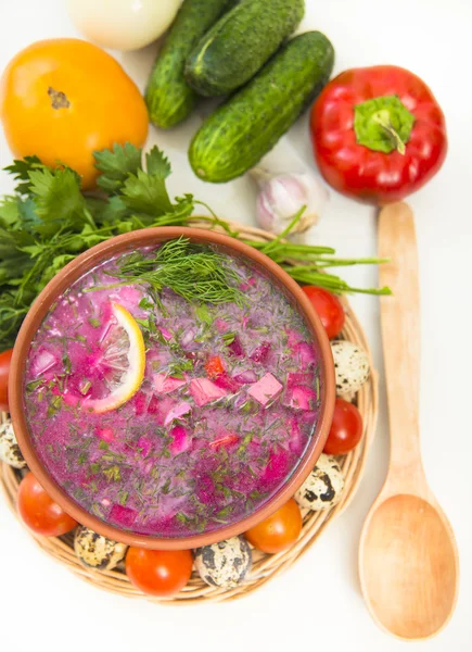 Sopa fría de leche agria — Foto de Stock