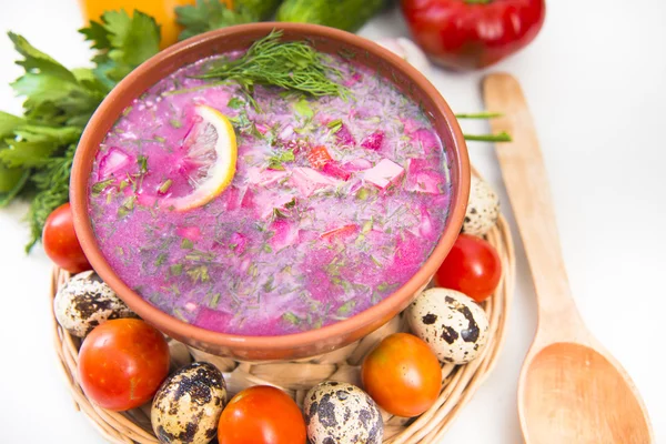 Sopa fria de leite azedo — Fotografia de Stock