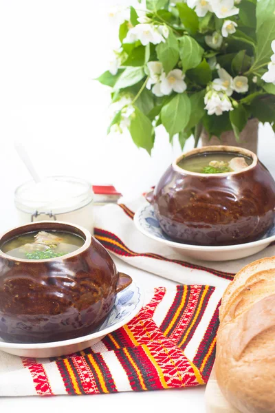 Sopa tradicional de acedera verde ucraniana Fotos de stock