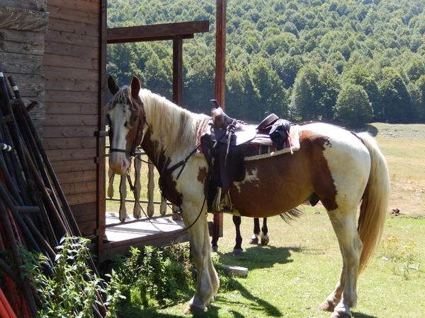 Urlaub in den Abruzzen — Stockfoto