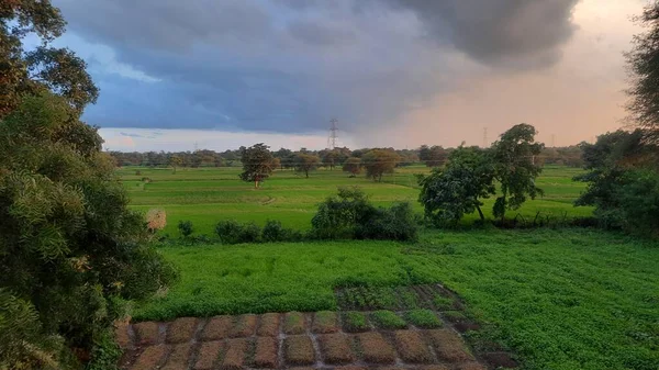 Indian village green farm view with dark clouds