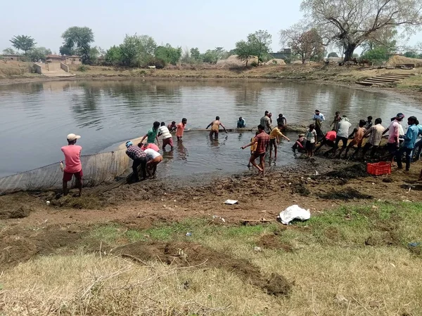 Bir Hint köyünden insanlar balıkçı havuzunda çalışıyor.