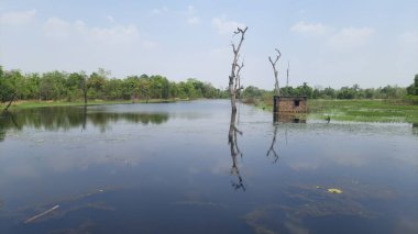 Göldeki siyah su Güzel duvar kağıdı
