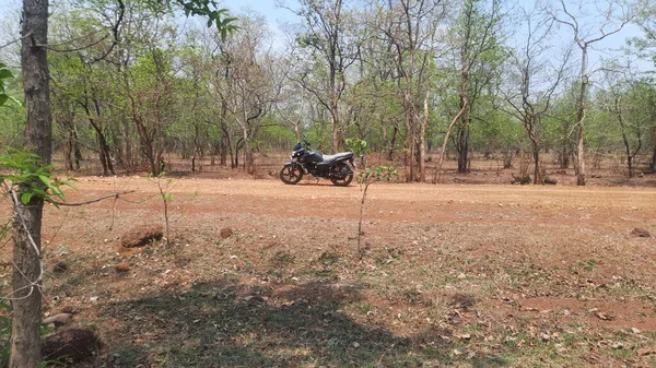 Ormanda bir bisiklet.