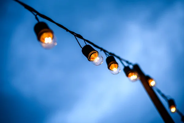 String Wired Light Bulbs Hanging Tree Twilight Evening — Stock Photo, Image