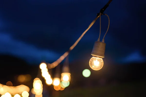 String Wired Light Bulbs Hanging Tree Twilight Evening — Stock Photo, Image