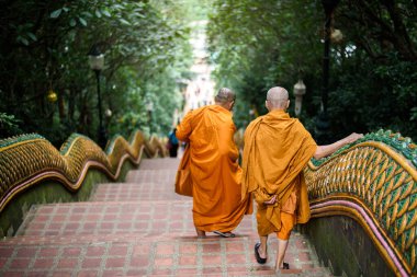  İki keşiş Doi Suthep Tapınağı 'ndaki merdivenlerden aşağı iniyor. Sabahleyin sis içinde, Chiang Mai, Tayland
