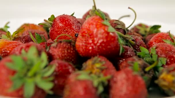 很多的草莓，除重点场景 — 图库视频影像