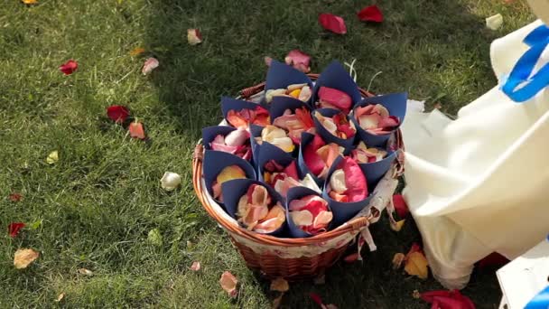 Jóias de casamento, pétalas de rosa coloridas na grama verde . — Vídeo de Stock