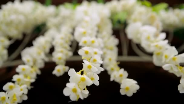 Wedding flowers arch decoration. — Stock Video