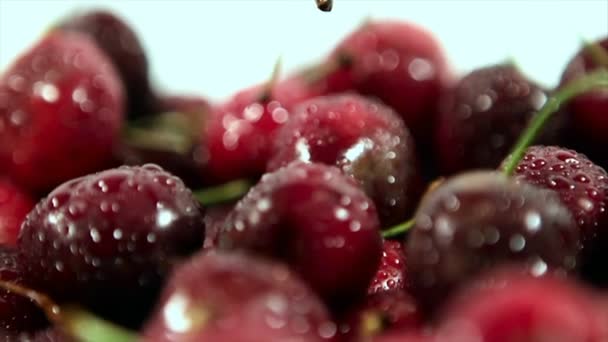 Red cherry with water droplets. the clockwise rotation. — Stock Video