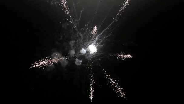 Colagem de fogos de artifício coloridos explodindo no céu noturno — Vídeo de Stock