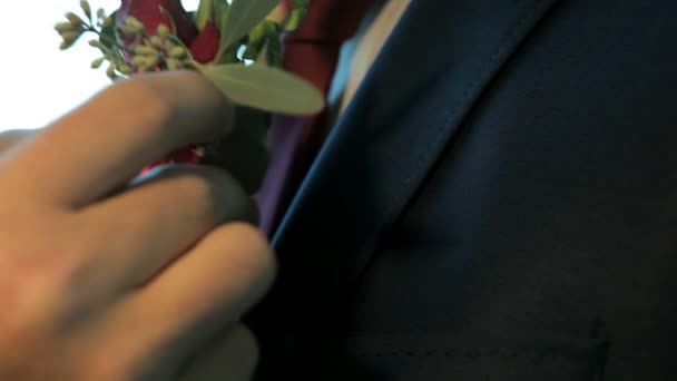 Boutonniere on trendy groom — Stock Video