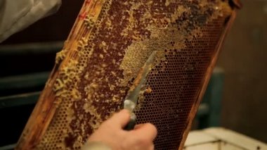 arıcı mührü açma petek