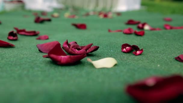 Pétales de rose sur le chemin de la mariée — Video