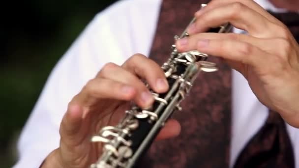 Playing The Flute closeup — Stock Video