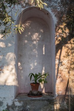 Taş bir duvarın içinde saksısı olan seramik bir kap. İtalya.