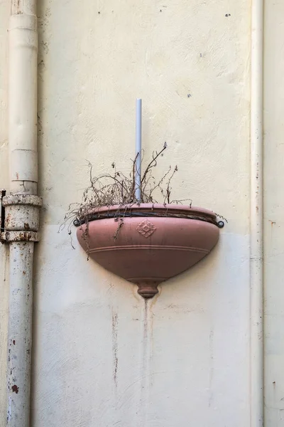 Füvet Falon Lógó Növényeknek Vízvezetékeket — Stock Fotó