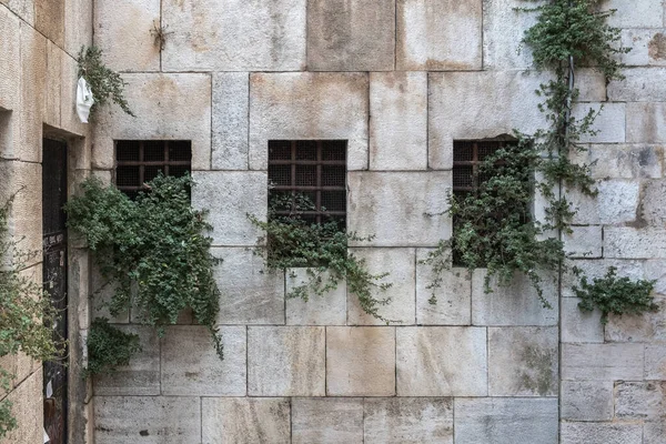 Janelas Com Barras Metal Uma Parede Pedra Plantas Parede — Fotografia de Stock