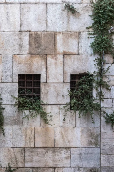 Taş duvarda metal parmaklıkları olan pencereler, duvarda bitkiler.