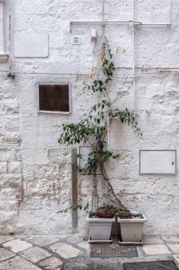 Metal kapaklı taş bir ev duvarı. Su, asfalt ve saksı bitkileri..