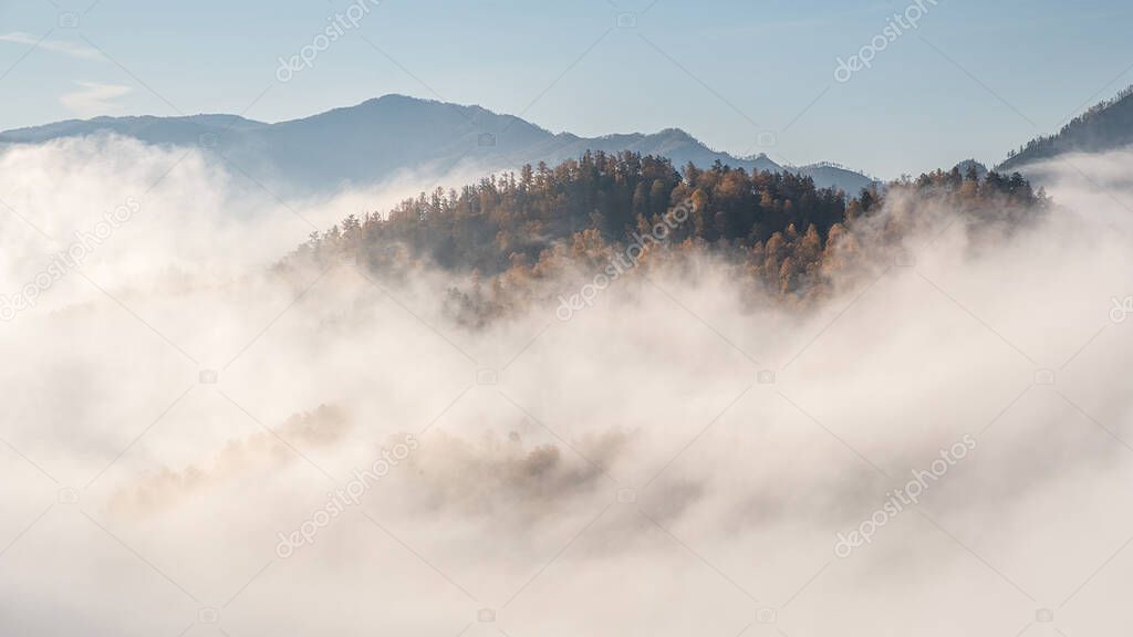 Fog in the mountains of Altai. A forested mountain is visible through the fog. Autumn.