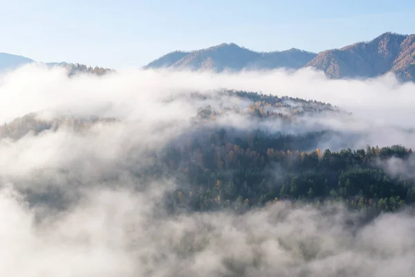 Orman dağları sabah sisinin içinden görülebilir. Sonbahar Altai.