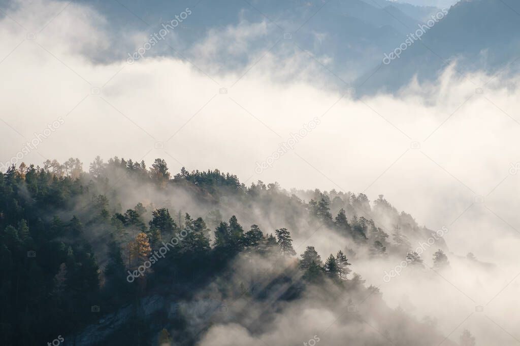 Forested mountains are visible through morning fog. Autumn Altai.