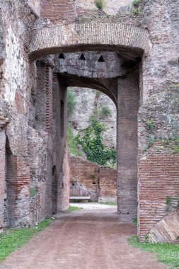 Antik binaların kalıntıları, tuğla duvarlar ve kemerler, sarmaşık. Palantine Tepesi, Roma, İtalya.