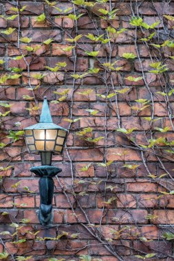 Duvarda bronz ışıklı sokak lambası var. Kırmızı tuğla duvar ve sarmaşık.