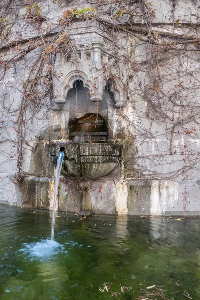 Decorative fountain in the wall. Water jet, pond. Vine on the wall.